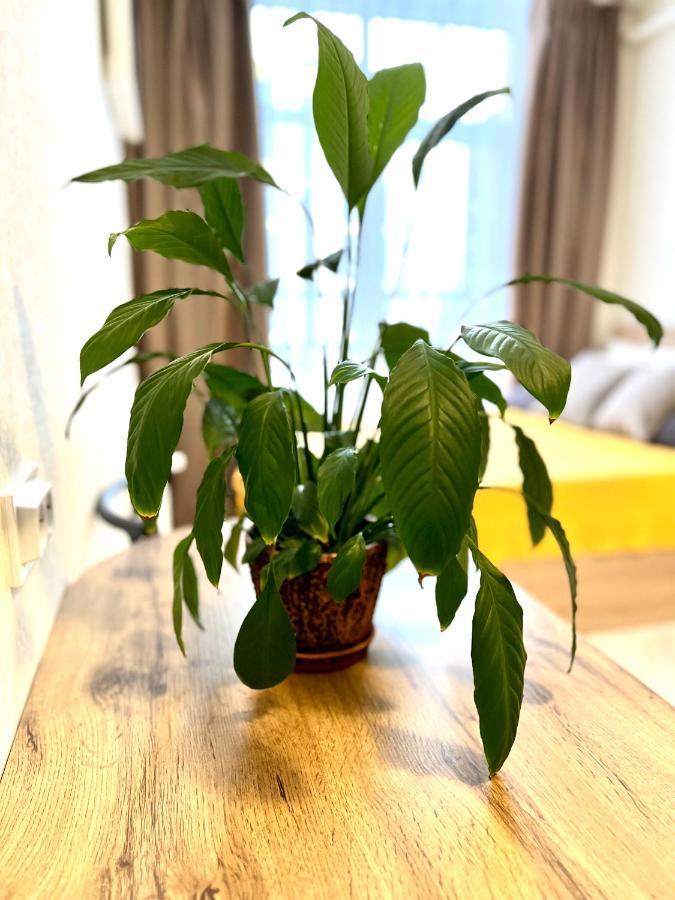 Osapart Hotel In A Complex Semycvit 2 리비프 외부 사진